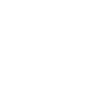 Lyte